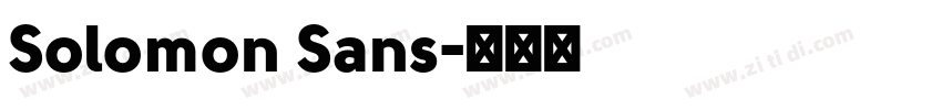 Solomon Sans字体转换